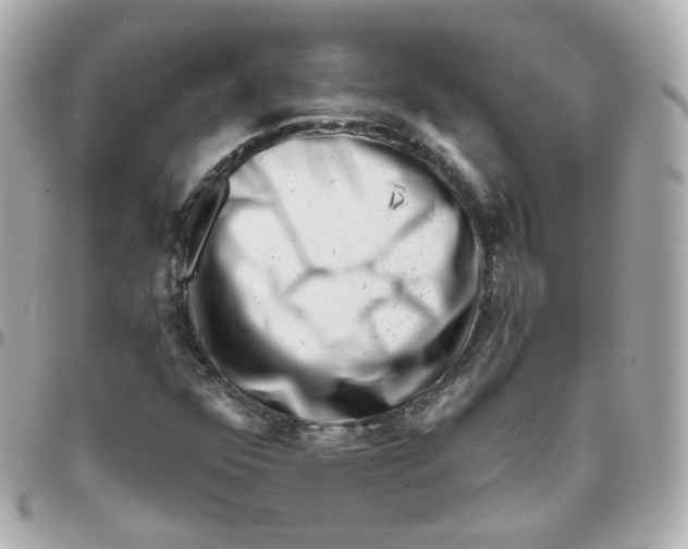 X0000095901352200802011119