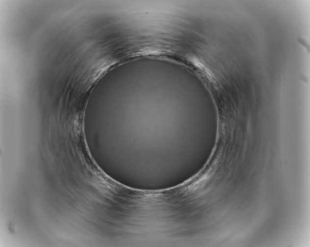 X0000095901353200802011119