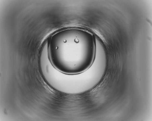 X0000095901356200802011119