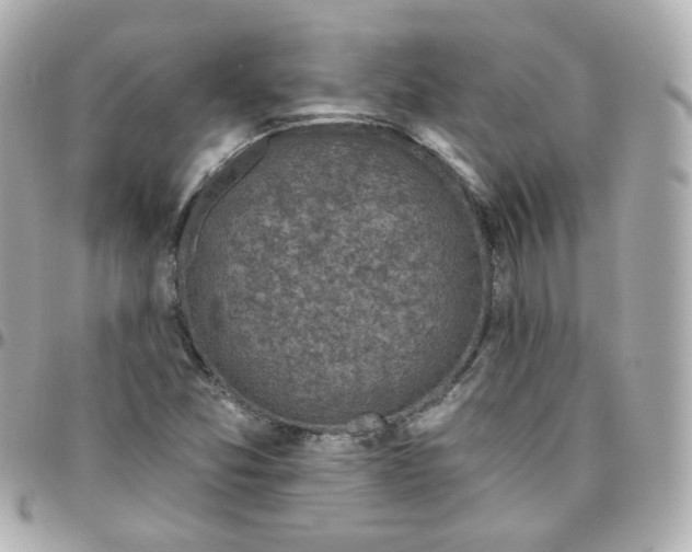 X0000095901357200802011119