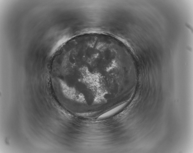 X0000095901359200802011119