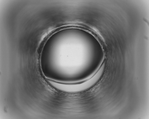 X0000095901360200802011119