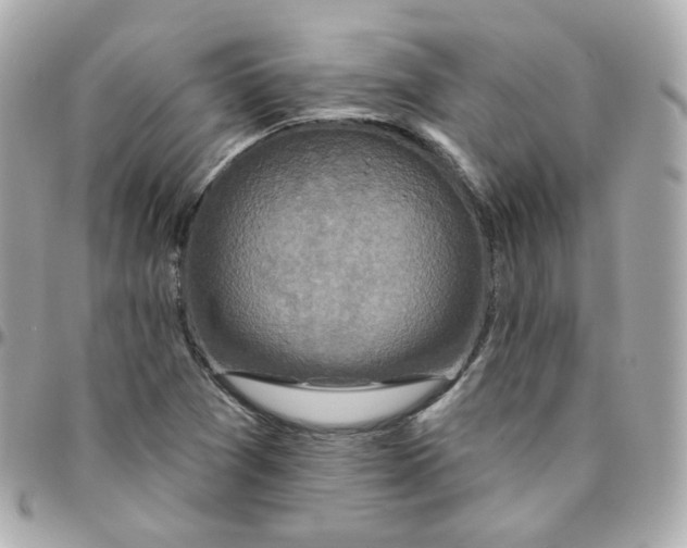 X0000095901361200802011119