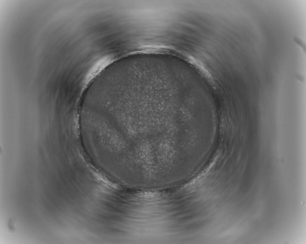 X0000095901362200802011119