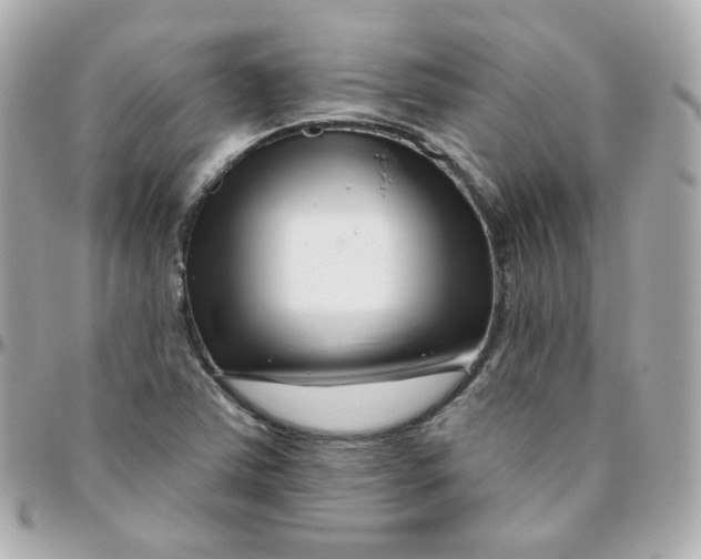 X0000095901363200802011119