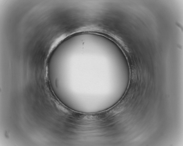 X0000095901366200802011119