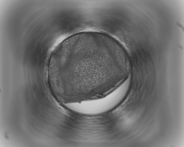 X0000095901367200802011119