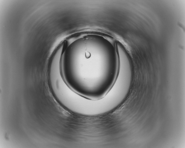 X0000095901368200802011119