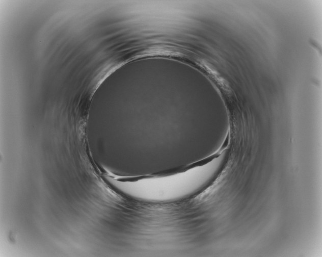 X0000095901369200802011119