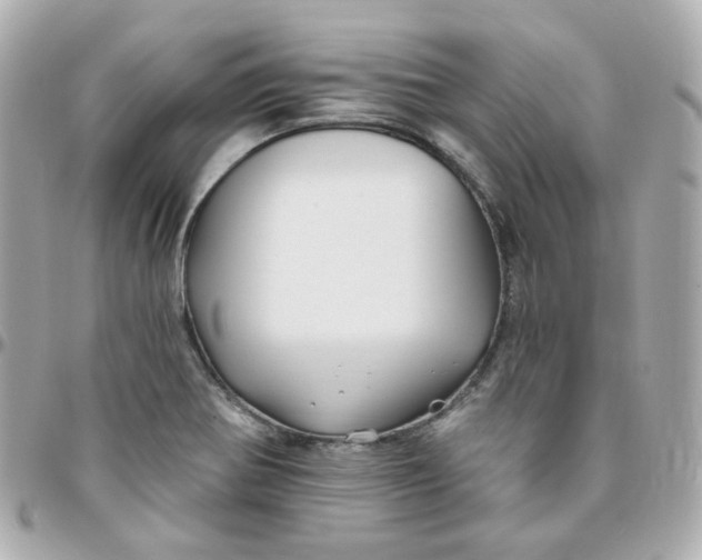 X0000095901370200802011119