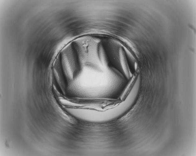 X0000095901371200802011119