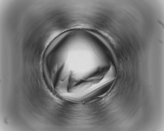 X0000095901375200802011119