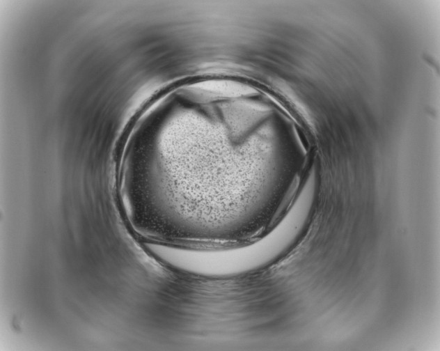 X0000095901376200802011119