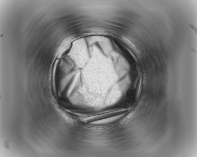 X0000095901378200802011119