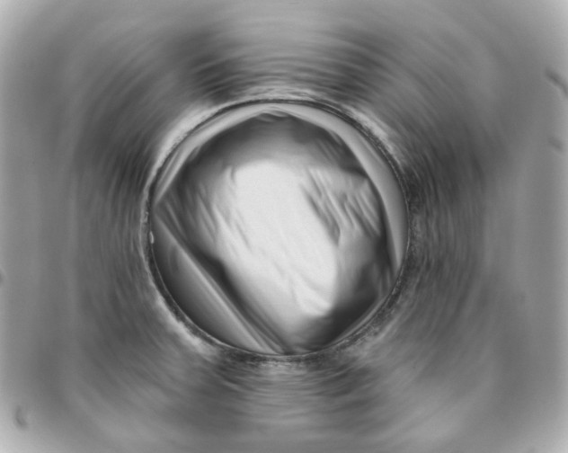 X0000095901379200802011119