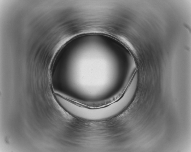 X0000095901380200802011119