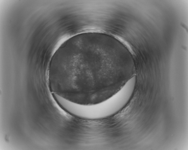 X0000095901383200802011119