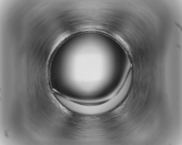 X0000095901384200802011119