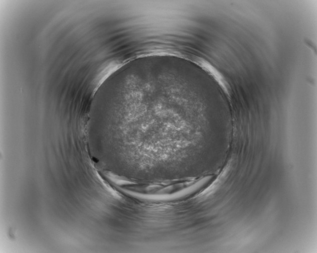 X0000095901385200802011119