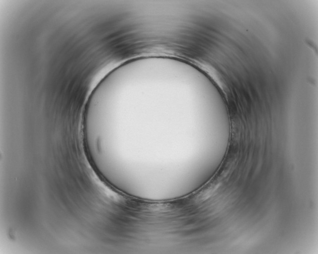 X0000095901387200802011119