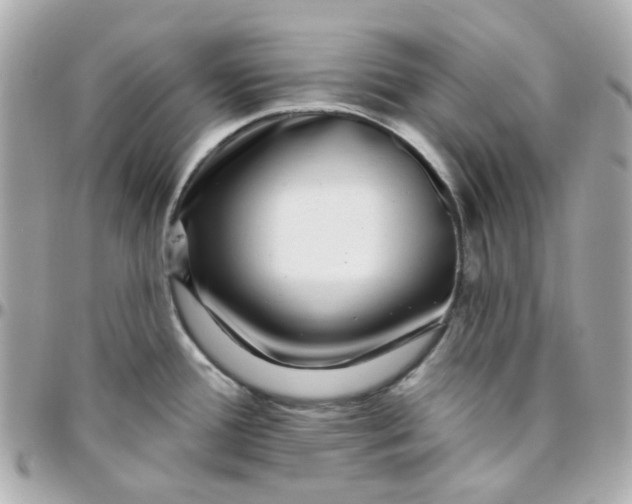 X0000095901388200802011119