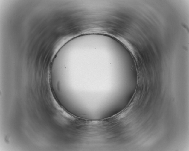 X0000095901390200802011119