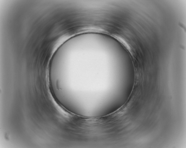 X0000095901391200802011119