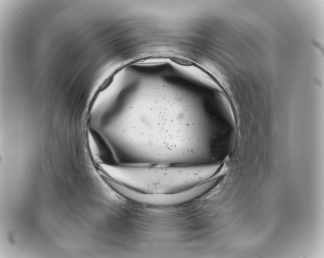 X0000095901392200802011118