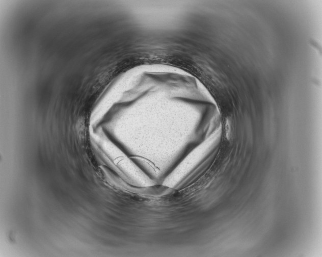 X0000095901395200802011118