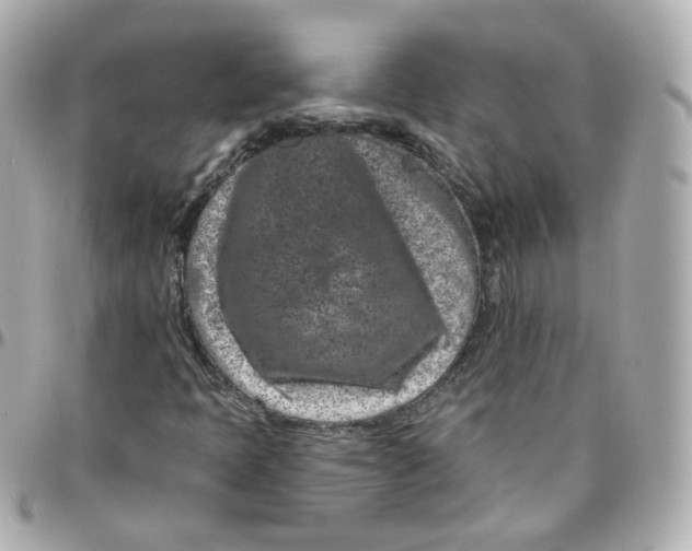 X0000095901397200802011118