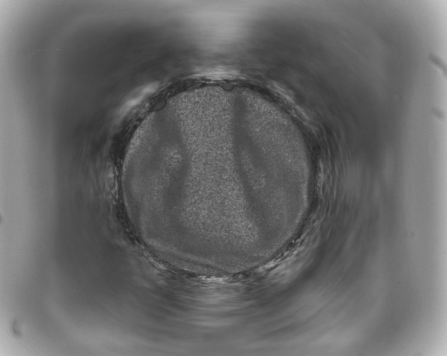 X0000095901398200802011118