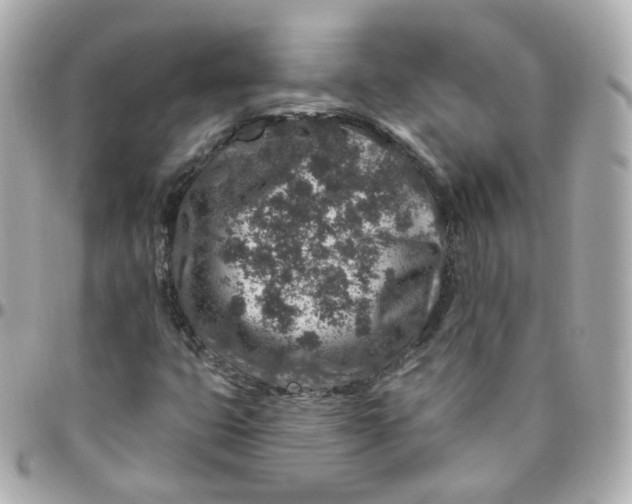 X0000095901399200802011118