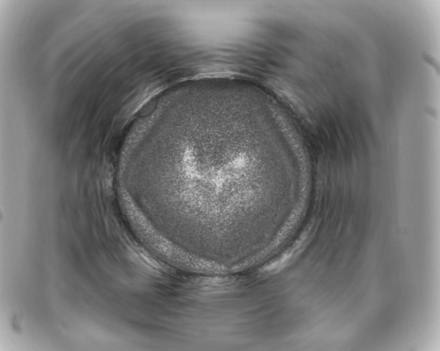 X0000095901401200802011118