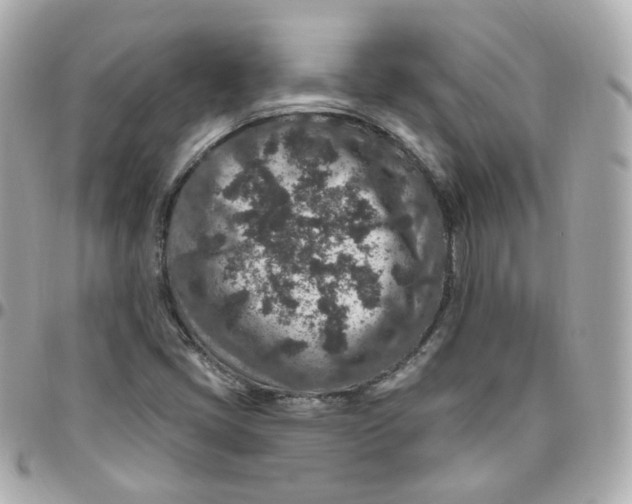 X0000095901405200802011118