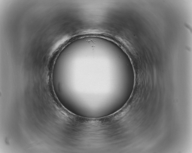 X0000095901406200802011118