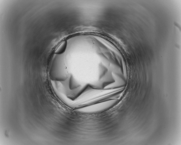 X0000095901407200802011118