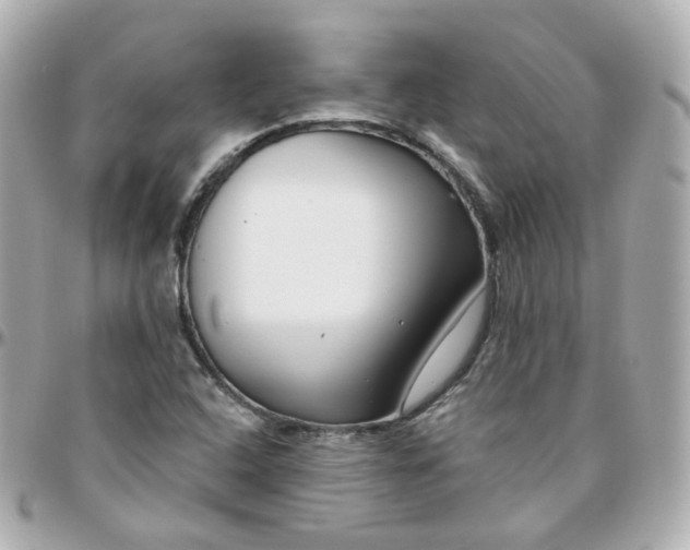 X0000095901408200802011118