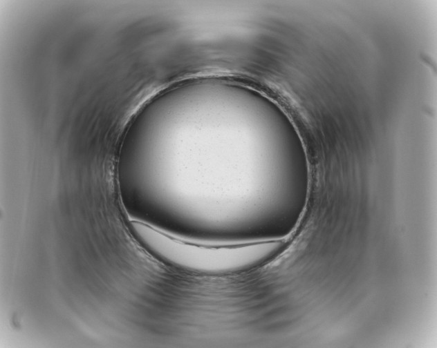 X0000095901409200802011118