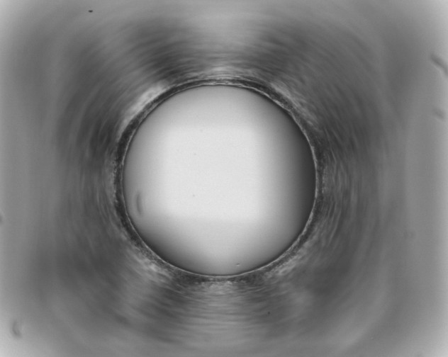 X0000095901410200802011118