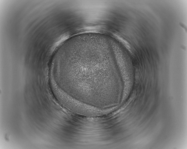 X0000095901411200802011118