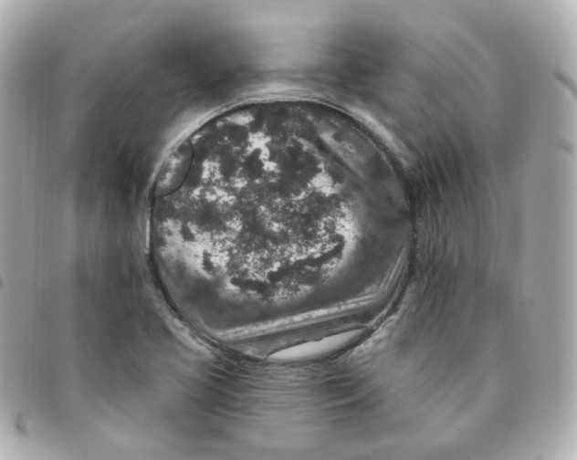 X0000095901413200802011118