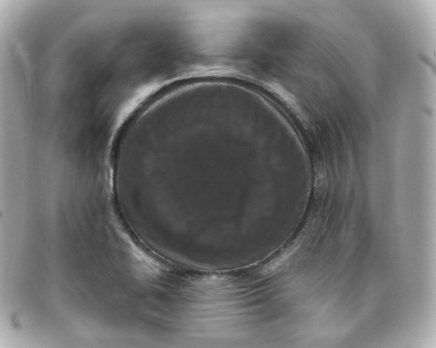 X0000095901414200802011118