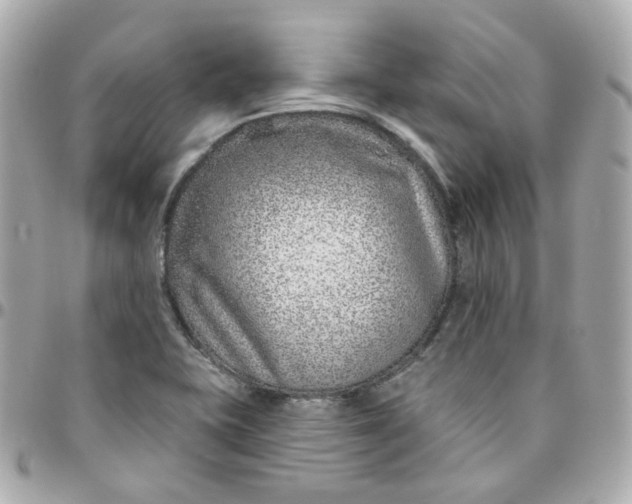 X0000095901415200802011118