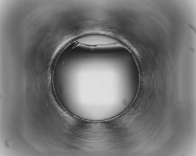 X0000095901416200802011118