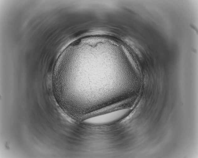 X0000095901417200802011118