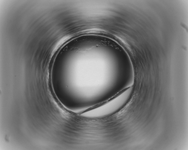 X0000095901418200802011118