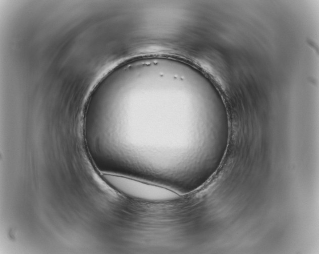 X0000095901421200802011118