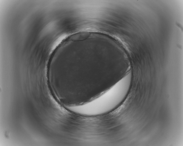 X0000095901422200802011118