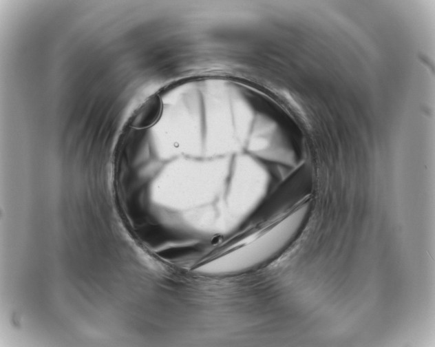 X0000095901424200802011118