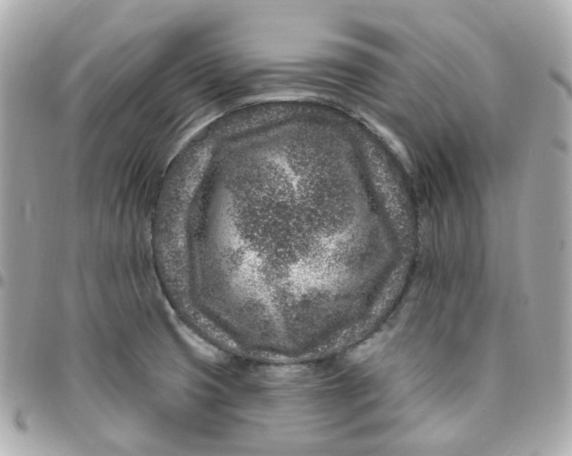 X0000095901425200802011118